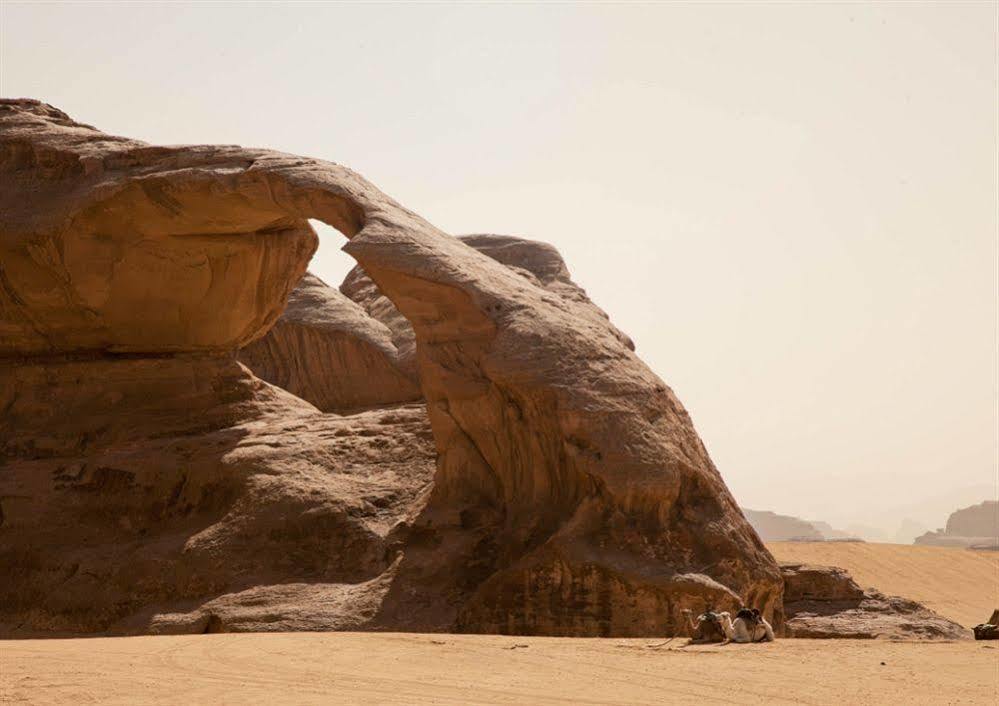 Wadi Rum Caravan Camp Zewnętrze zdjęcie